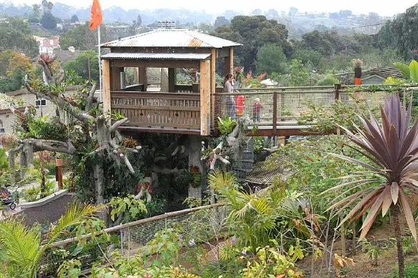 Diego Tree House