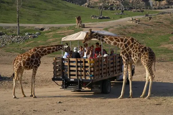 Wild kingdom animal park san diego